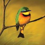 A digital painting of a little bee eater.