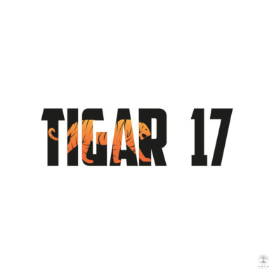 An image of a logo design for Danish marketing company Tigar17 featuring a tiger walking through the brands name.